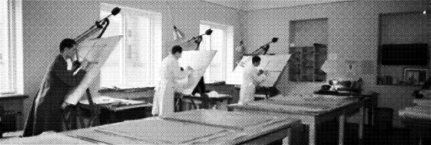 Phot. Johnson Julius, Trelleborgs Museum, Public domain via Europeana_banner